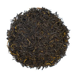 China Panyong Golden Needle