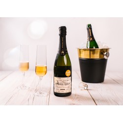 Herbata Musująca White & Darjeeling
