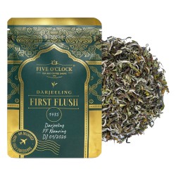 Darjeeling FF Namring DJ 01/2026