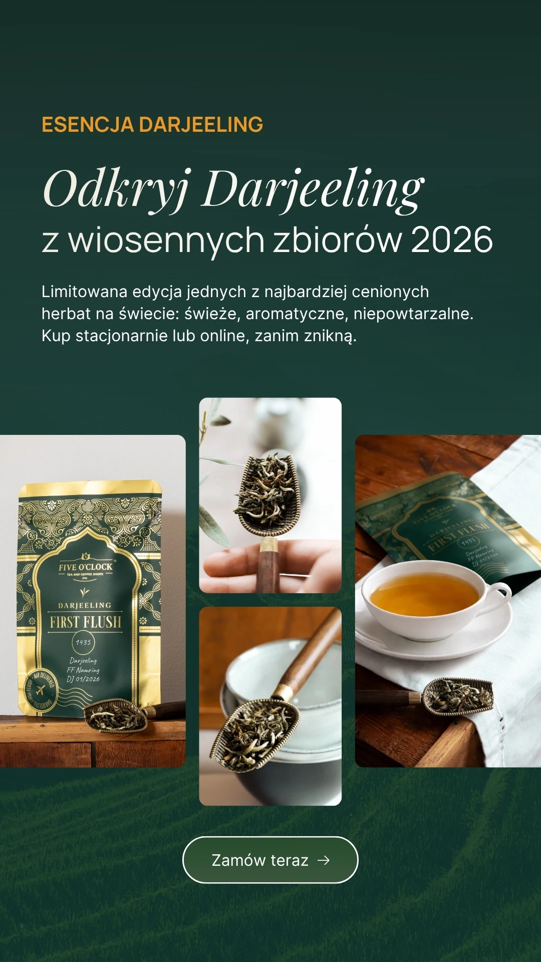 Darjeeling First Flush 2026