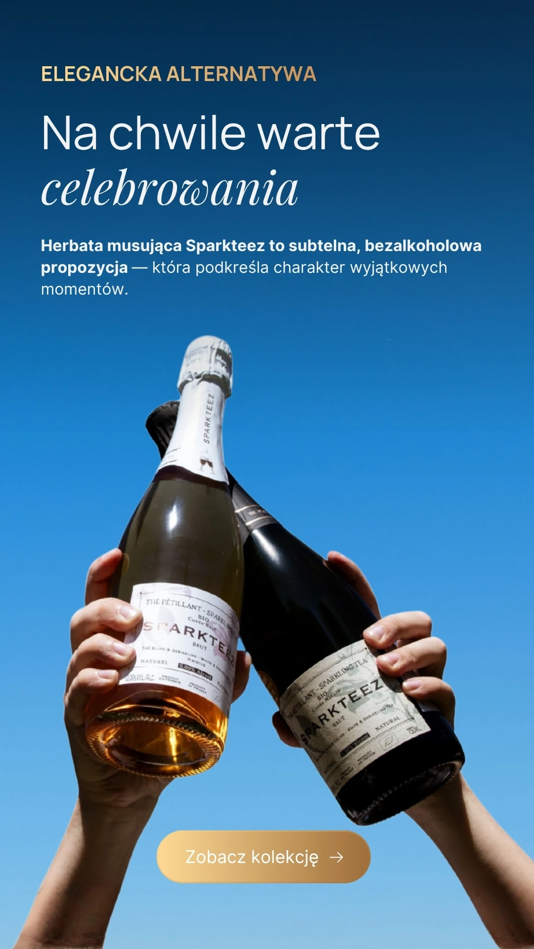 Herbaty musujące Sparkteez