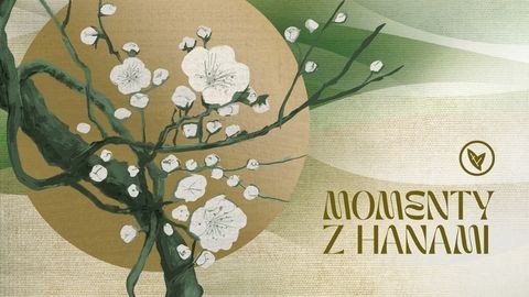 Momenty z Hanami